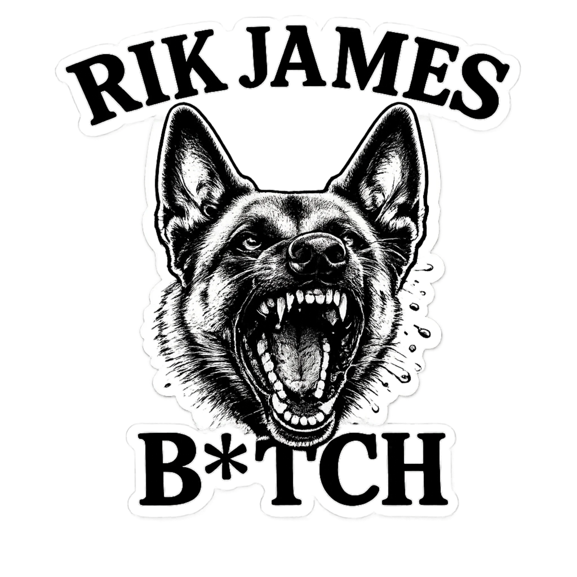 Team Rik Stickers - Image 4